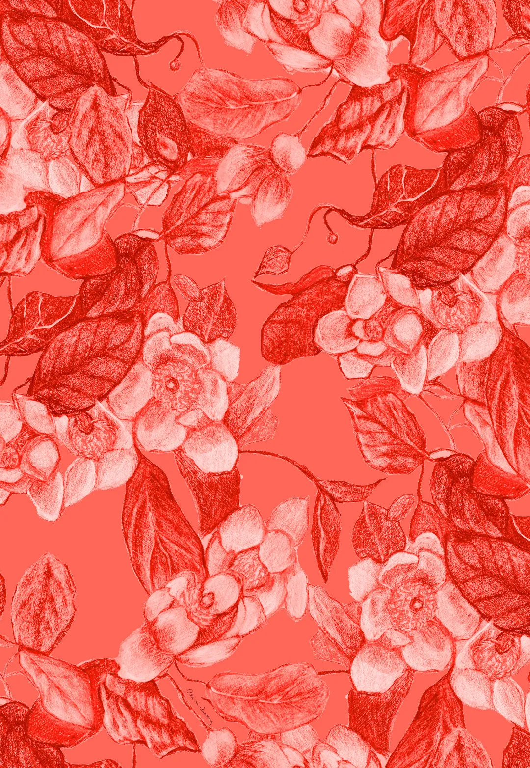 Markie Sheer T-Shirt in Coral Grandiflora